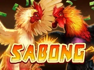 Sabong